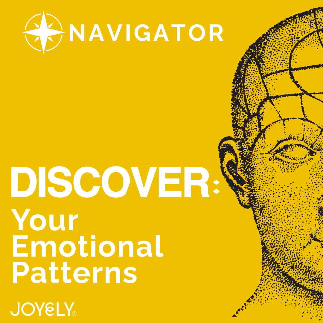 NAVIGATOR Discovery