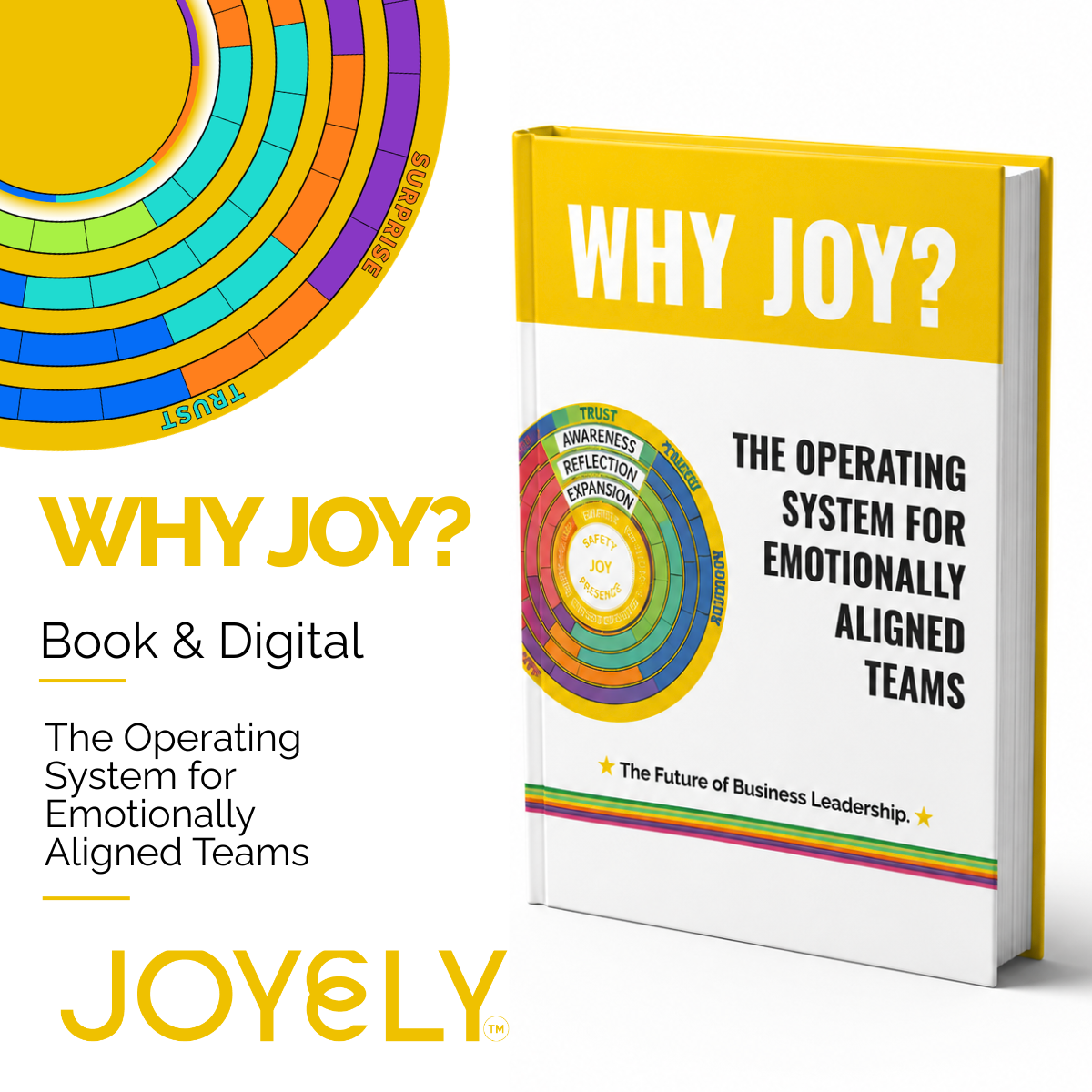 WHY JOY? Book