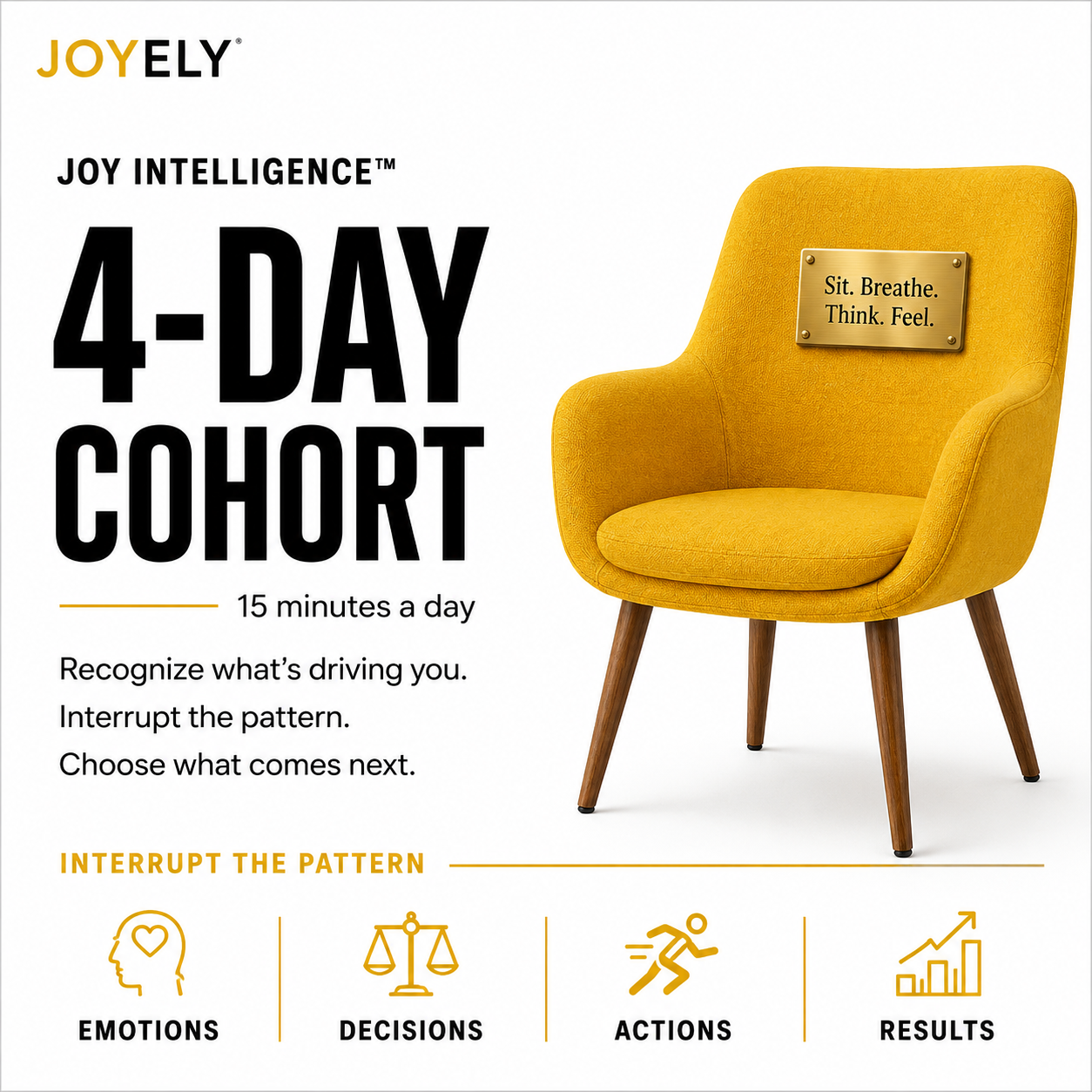 Joy Intelligence™ 4-Day Cohort